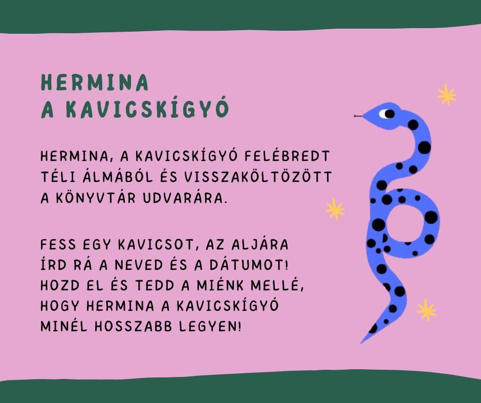 Hermina, a kavicskígyó ismét az udvaron post thumbnail image